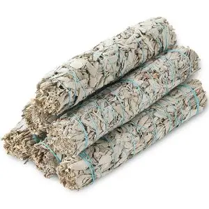 Біла шавлія великий стік 130 г – White Sage, Salvia Apiana